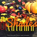 The Shades Of Autumn