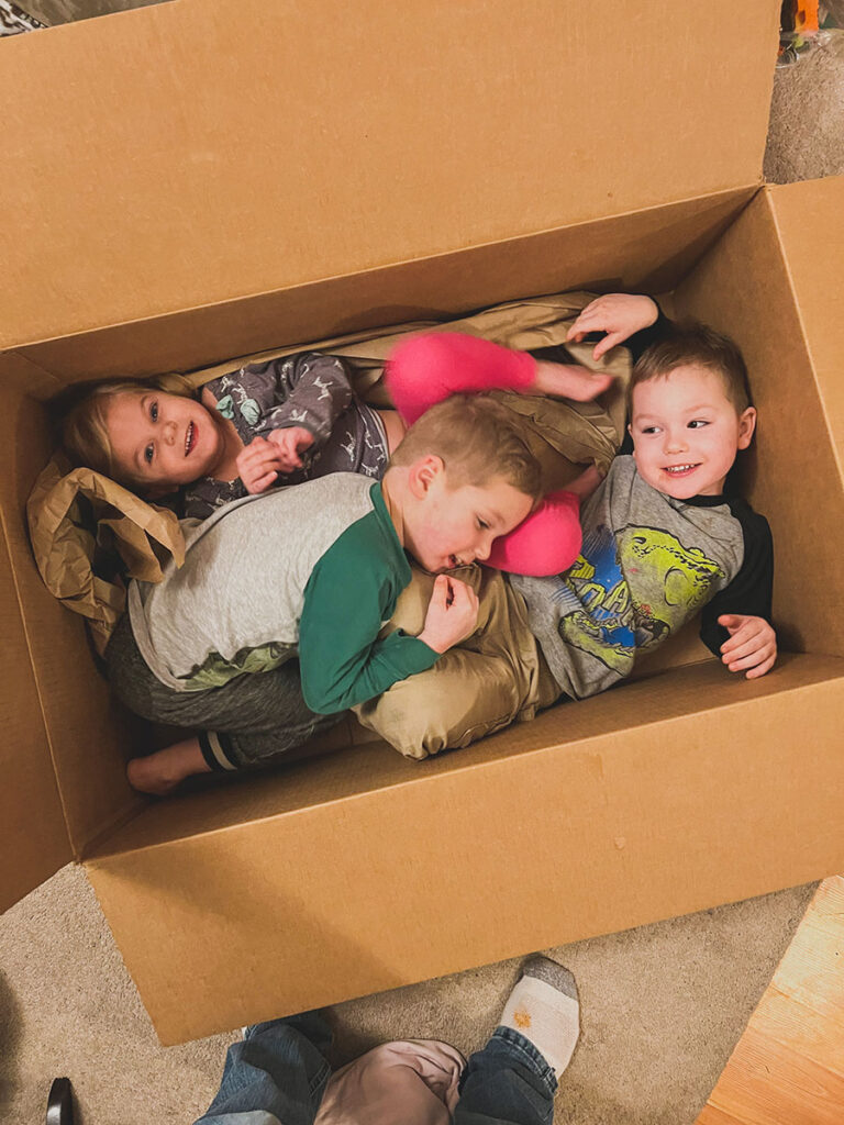 toddlers spending time playing in box